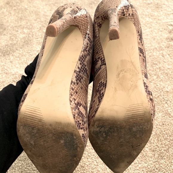 Steve Madden Snakeskin Heels with Gold Accents - Picture 2 of 3